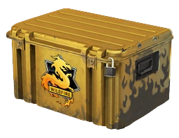 Wildfire Case